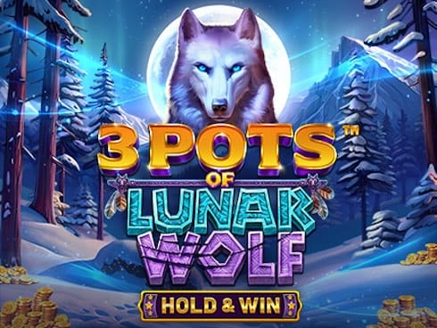 لونار وولف کے 3 پاٹس - ہولڈ اینڈ ون game thumbnail