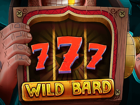 وائلڈ بارڈ game screenshot